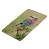 Kühlschrank-Bildvorlage 4 x 6 Magnet (Linke Seite)