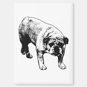 Kühlschrank Cheer Bulldog Magnet