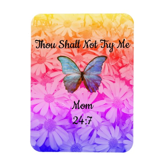 Kühlschrank, du sollst es mir nicht versuchen magnet (Vertikal)