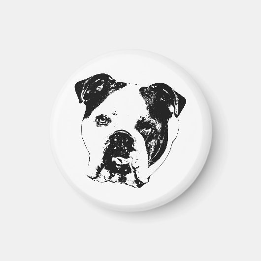 Kühlschrank Focus Bulldog Magnet (Vorne)