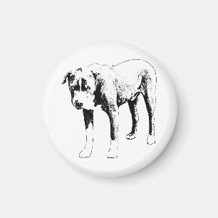 Kühlschrank Friend, Pit Bull Steady Magnet