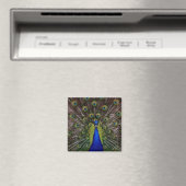 Kühlschrank für die rechte Pfauenbrücke oder Locke Magnet (In Situ (Geschirrspüler))