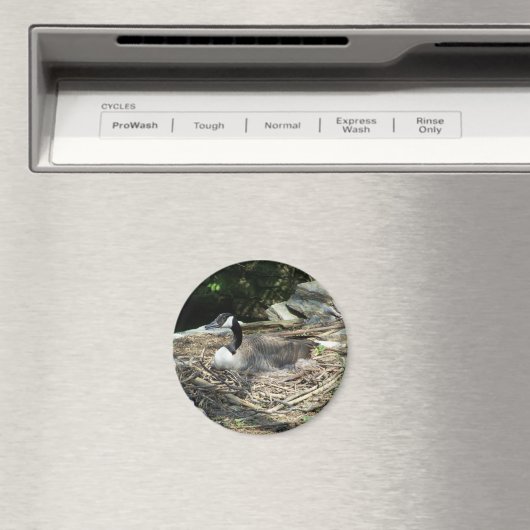 "Kühlschrank Goose Magnet (In Situ (Geschirrspüler))