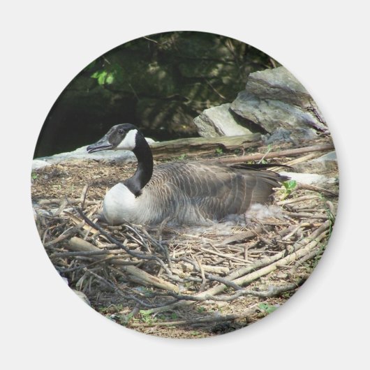 "Kühlschrank Goose Magnet (Vorne)