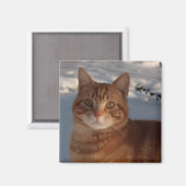 Kühlschrank Kitty Magnet (Vorderseite/Rückseite)