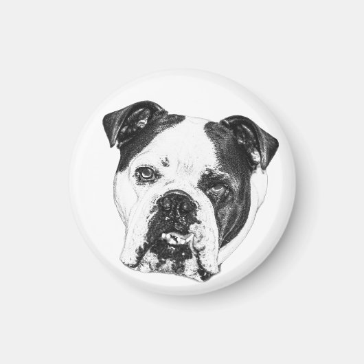 Kühlschrank List Bulldog Magnet (Vorne)