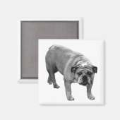 Kühlschrank List Bulldog Magnet (Vorderseite/Rückseite)