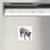 Kühlschrank List Bulldog Magnet (In Situ (Geschirrspüler))
