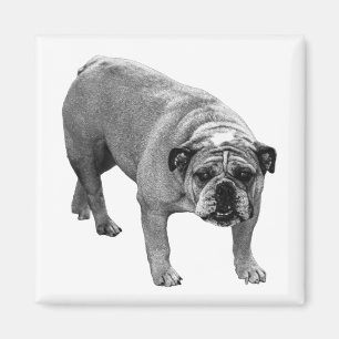 Kühlschrank List Bulldog Magnet