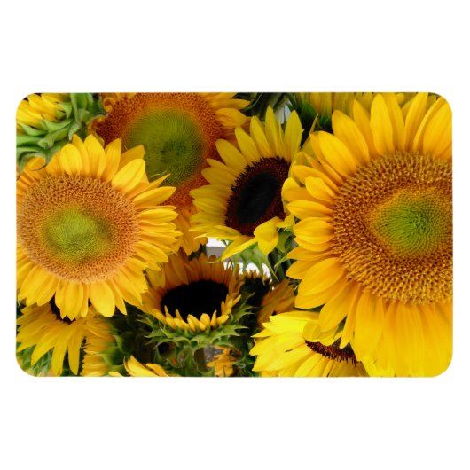 Kühlschrank Magnet 4 x 6 Kid-Fotovorlage (Horizontal)