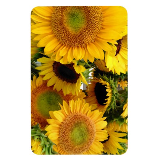 Kühlschrank Magnet 4 x 6 Kid-Fotovorlage (Vertikal)