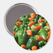 Kühlschrank-Magnet-Anmerkung oder Foto-Inhaber, Pa Magnet (Vorderseite/Rückseite)