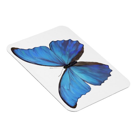 Kühlschrank Magnet Blue Butterfly (Rechte Seite)