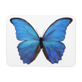 Kühlschrank Magnet Blue Butterfly (Horizontal)