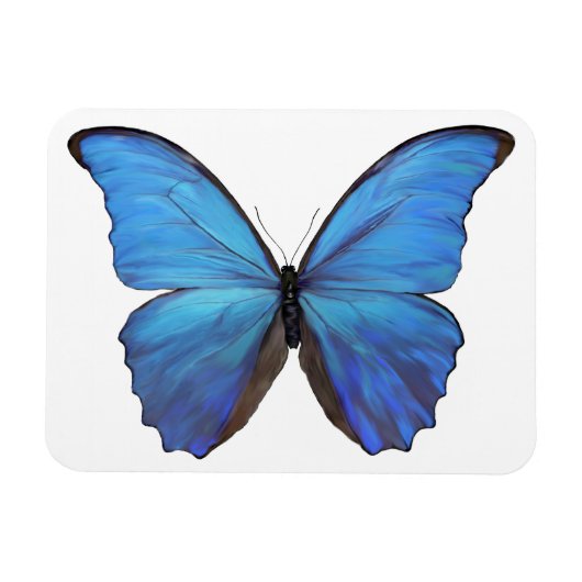 Kühlschrank Magnet Blue Butterfly (Horizontal)