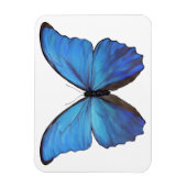 Kühlschrank Magnet Blue Butterfly (Vertikal)