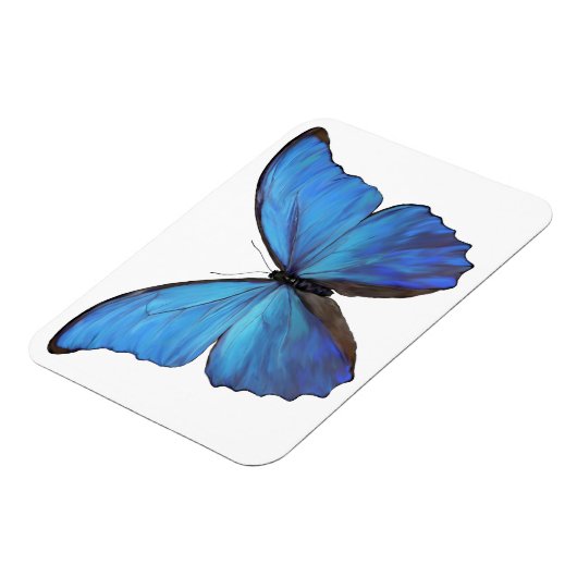 Kühlschrank Magnet Blue Butterfly (Linke Seite)