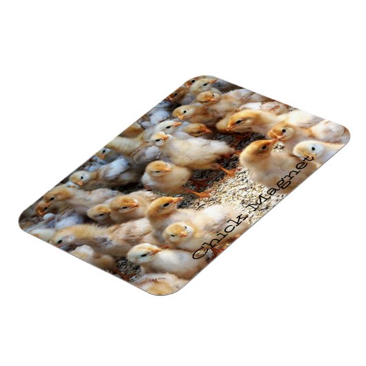 Kühlschrank Magnet Chick Magnet (Linke Seite)