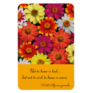Kühlschrank Magnet farbenfrohe Zinnias-Vorlage