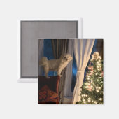 Kühlschrank Magnet Gewartet für Santa Paws (Vorderseite/Rückseite)