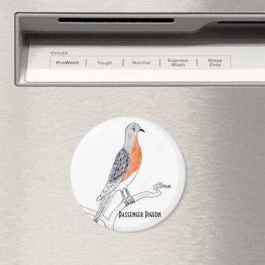 Kühlschrank-Magnet Magnet (In Situ (Geschirrspüler))