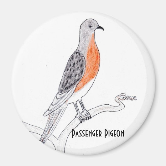 Kühlschrank-Magnet Magnet (Vorne)