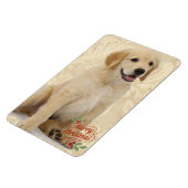 Kühlschrank Magnet Pet's Fotovorlage Weihnachten (Linke Seite)