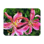 Kühlschrank Magnet Pink Lilies (Horizontal)