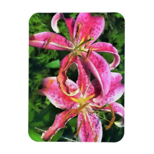 Kühlschrank Magnet Pink Lilies