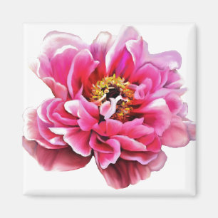 Kühlschrank Magnet Pink Peony