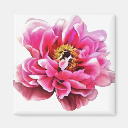 Kühlschrank Magnet Pink Peony (Vorne)