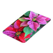 Kühlschrank Magnet Pink & Red Poinsettias (Linke Seite)