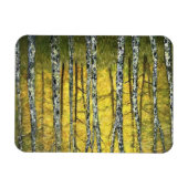 Kühlschrank Magnet - Wald von Acadia (Horizontal)