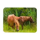 Kühlschrank Magnet Wilde Pferde (Horizontal)