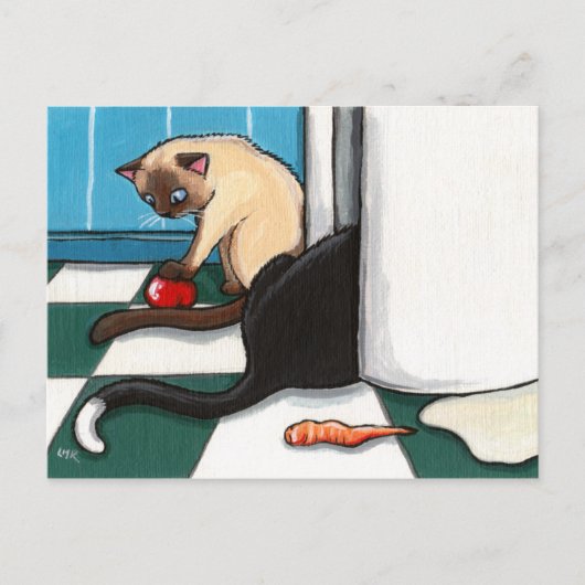 Kühlschrank Raiders Cat Postkarte (Vorderseite)