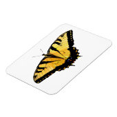 Kühlschrank Tiger Frack Butterfly Magnet (Linke Seite)