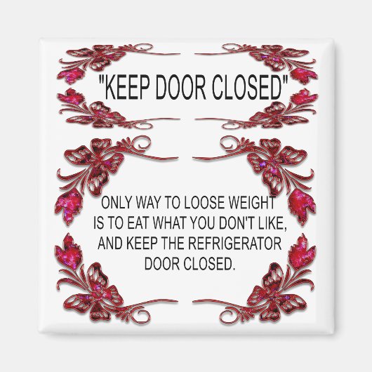 KÜHLSCHRANK TÜR MAGNET (Vorne)