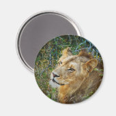 Kühlschrankmagnet (Vorderseite/Rückseite)