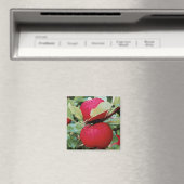 Kühlschrankmagnet Äpfel (In Situ (Geschirrspüler))