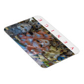 Kühlschrankmagnet der Karnevalsmasken von Venedig Magnet (Rechte Seite)