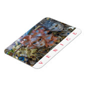 Kühlschrankmagnet der Karnevalsmasken von Venedig Magnet (Linke Seite)
