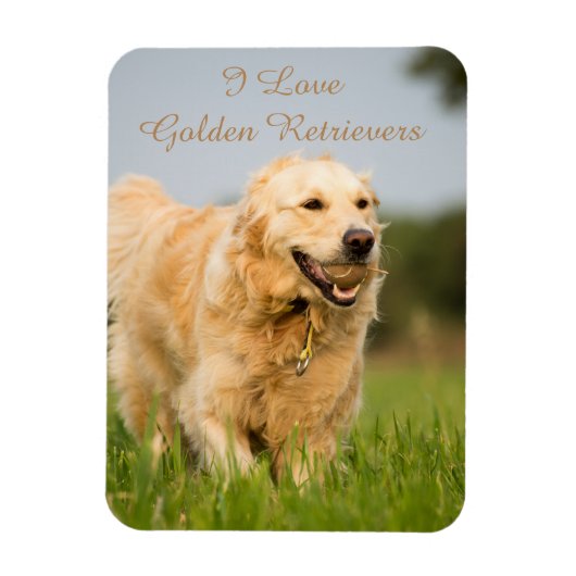 Kühlschrankmagnet mit Golden Retriever und Slogan Magnet (Vertikal)