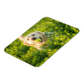 Kühlschrankmagnet mit Golden Retriever und Slogan Magnet (Linke Seite)