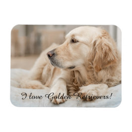 Kühlschrankmagnet mit Golden Retriever und Slogan Magnet