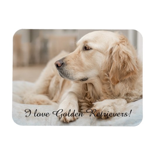 Kühlschrankmagnet mit Golden Retriever und Slogan Magnet (Horizontal)