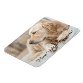 Kühlschrankmagnet mit Golden Retriever und Slogan Magnet (Linke Seite)