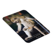 Kühlschrankmagnet mit Monkey und Slogan Magnet (Rechte Seite)