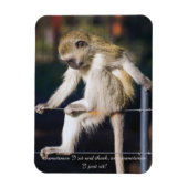 Kühlschrankmagnet mit Monkey und Slogan Magnet (Vertikal)