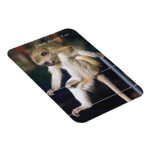 Kühlschrankmagnet mit Monkey und Slogan Magnet (Rechte Seite)