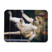 Kühlschrankmagnet mit Monkey und Slogan Magnet (Horizontal)